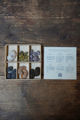 【ギフト箱入】種菓のコース（色指定可）※送料無料