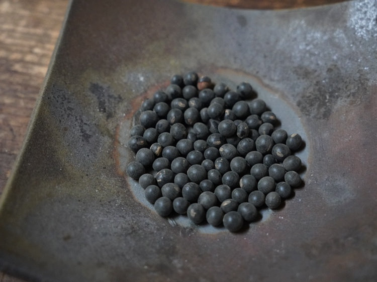 種茶-黒豆-